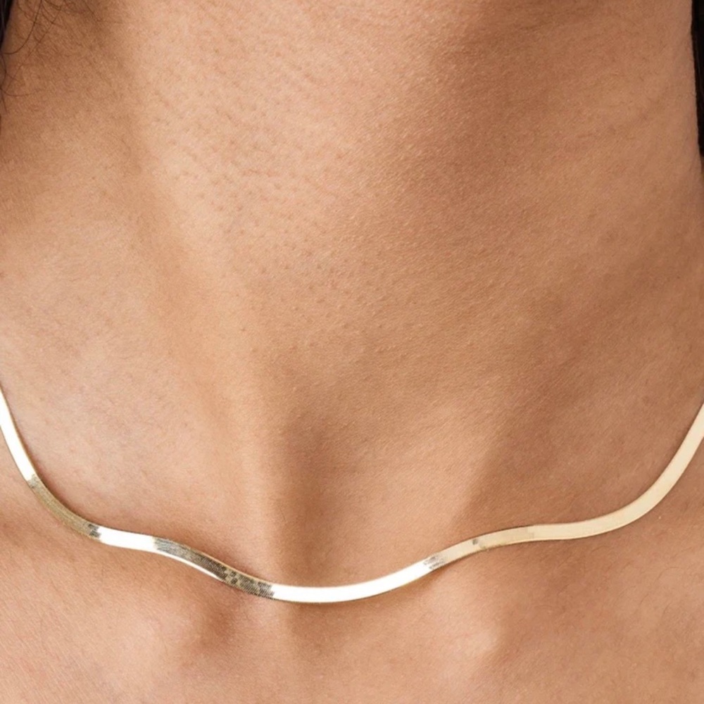 NWT Loren Stewart herringbone necklace